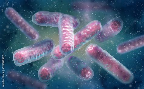 Enterobacterales .